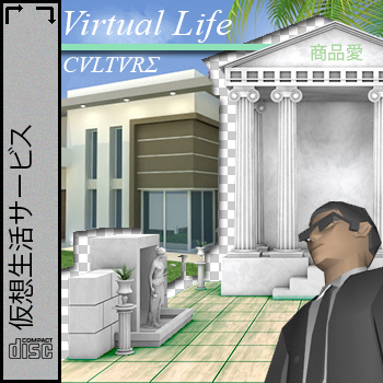 Virtual Life culture cover.png