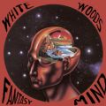 Cover of Fantasy Mind.