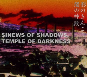 SinewsOfShadowsTempleOfDarkness-Cover.jpg