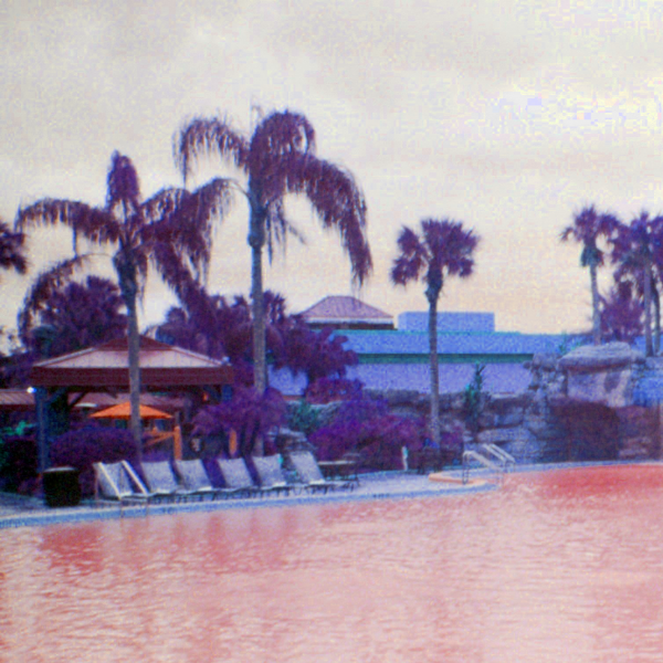 File:PurplePalm-Cover.png